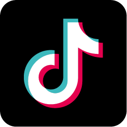 TikTok Icon