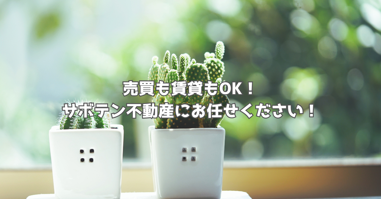 サボテンの画像